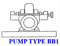 Horizontal Pumps DVS (BB1)