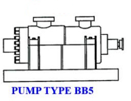 Horizontal Pumps DDHF (BB5)